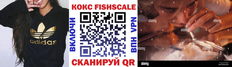 где можно купить наркотик  Камень-на-Оби  COCAIN FishScale 