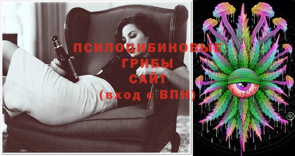 ешки Аркадак